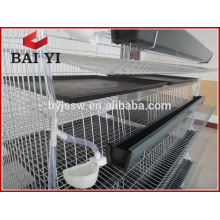 Commercial Quail Cages Hot Sale In Philippines
